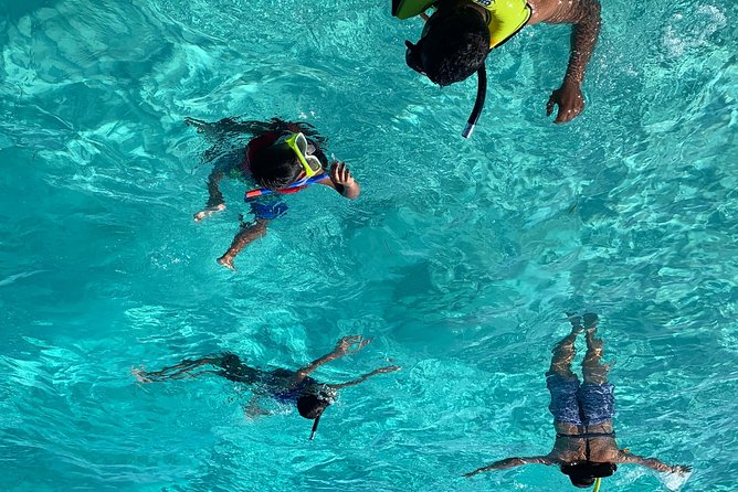 Bluefinn242 Swim with the Turtles in Nassau Bahamas - Key points at a glance