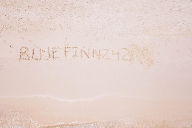 Bluefinn242 Swim with the Turtles in Nassau Bahamas - Weather and cancellation concerns