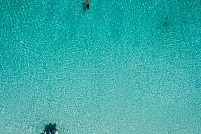 Bluefinn242 Swim with the Turtles in Nassau Bahamas - Snorkeling with green turtles in open water