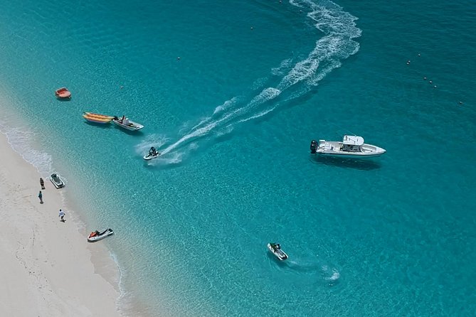 Bus for a Day (Shore Excursion) - Key points to know before you book