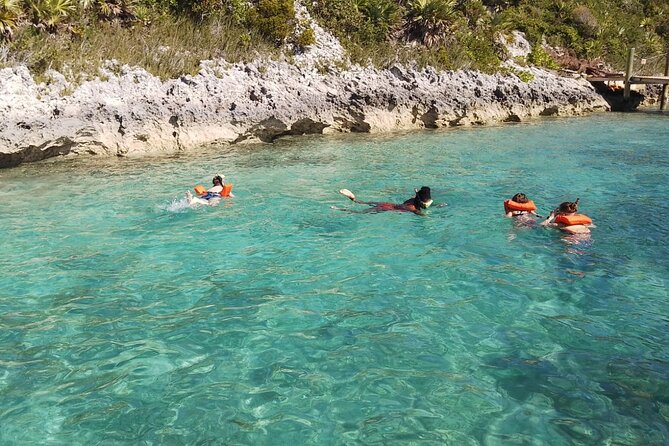 Catamaran Snorkel & Beach Day with Turtles - Meeting the turtles at Green Cay Sanctuary