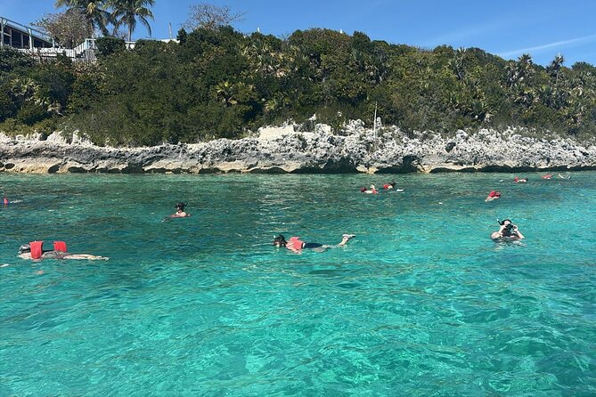 Catamaran Snorkel & Beach Day with Turtles - Relaxing at Gilligan’s Island Beach