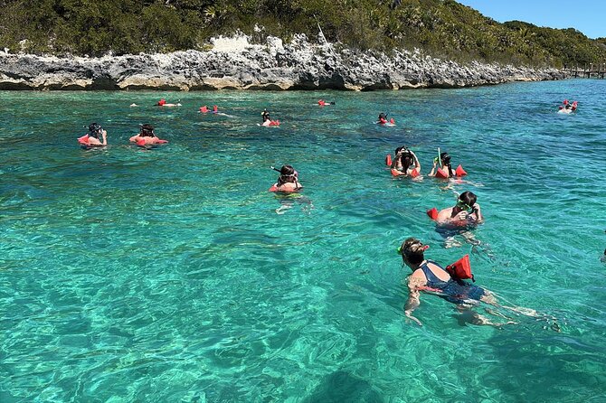 Catamaran Snorkel & Beach Day with Turtles - Who will enjoy this Nassau excursion most