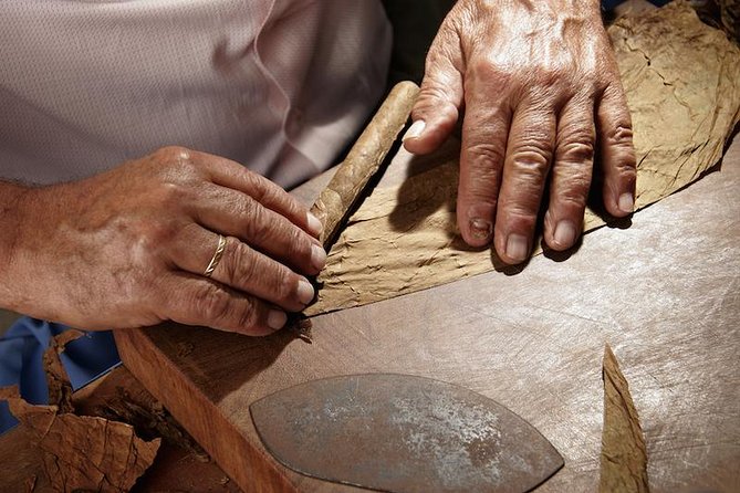 Cigar Rolling Lesson in Nassau - A Hands-On Nassau Experience, Not Just a Photo Stop