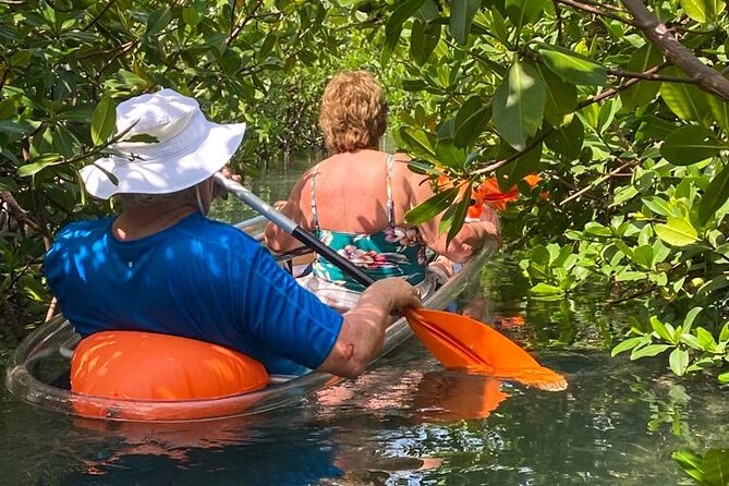 Clear Kayak Tour - Is the $120 Price Fair?