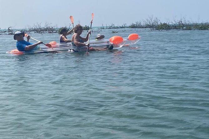 Clear Kayak Tour - Timing, Weather, and Cancellation Rules