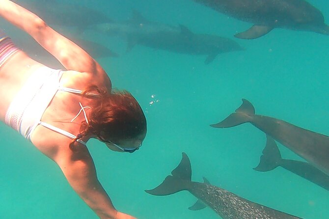 Create-Your-Own Luxury Adventure in Bimini with photographer - A private boat that follows your group’s pace