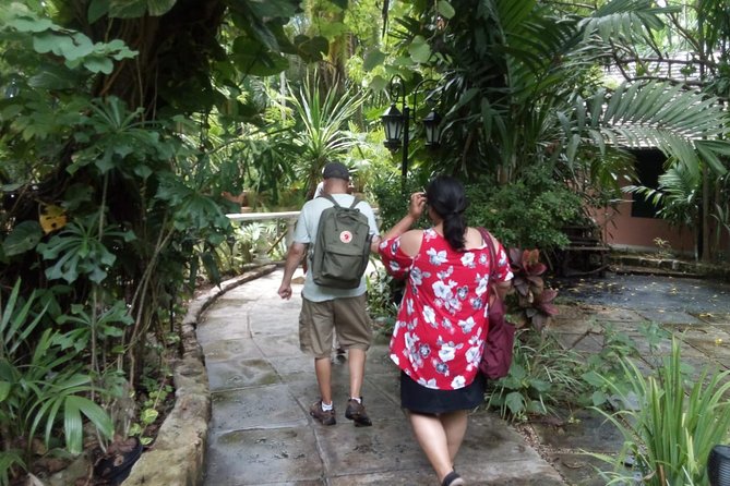 Dilly Dally Walking Tour of Nassau Attractions - Queen’s Staircase and Nassau’s hilltop views