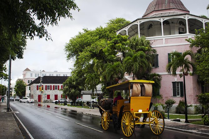 Dilly Dally Walking Tour of Nassau Attractions - The guides make the route easier to follow