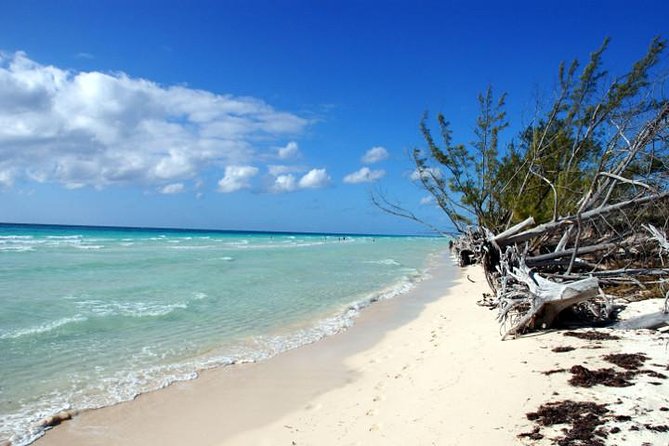 East End Private Day Trip Experience Tour - A private way to see more of Grand Bahama
