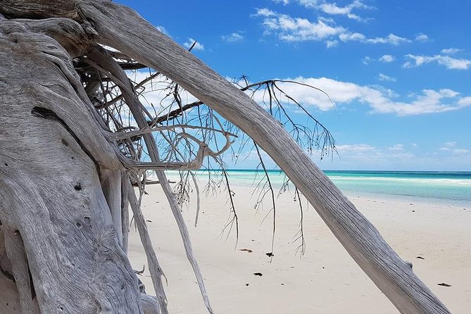 East End Private Day Trip Experience Tour - Port Lucaya gives you an easy start