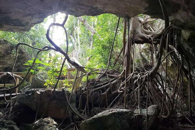 East End Private Day Trip Experience Tour - What the $270 price really covers