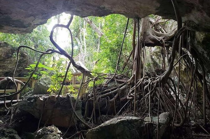 East End Private Day Trip Experience Tour - Hida’s personal style is part of the experience