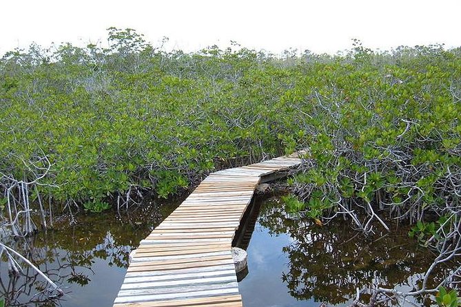 East End Private Day Trip Experience Tour - Garden of the Groves is a worthwhile paid add-on