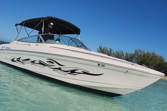 Exotic half day private charters to Rose Island, Pigs and Turtles - Rose Island gives the day its breathing room