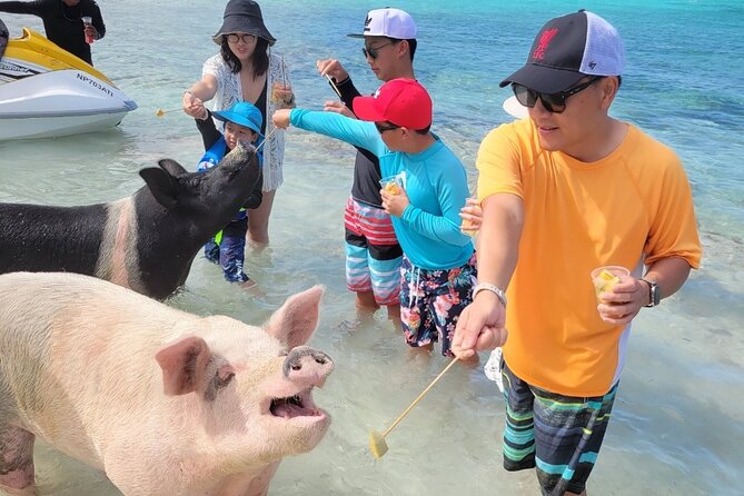 Exotic half day private charters to Rose Island, Pigs and Turtles - Is $1,020 good value for a private charter?