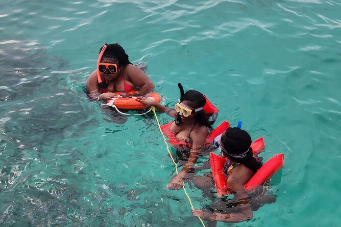 Exotic half day private charters to Rose Island, Pigs and Turtles - The private format changes the pace