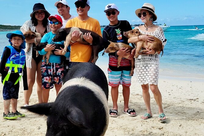 Exotic half day private charters to Rose Island, Pigs and Turtles - Practical details before you set out