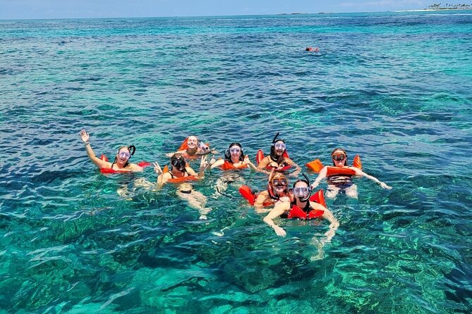 Exotic half day private charters to Rose Island, Pigs and Turtles - The swimming pigs cost extra
