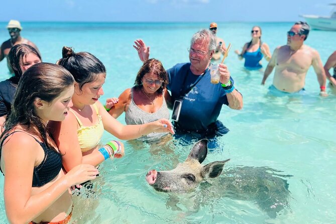 Exuma Day Away - Original Swimming Pigs Excursion - Key things to know before booking