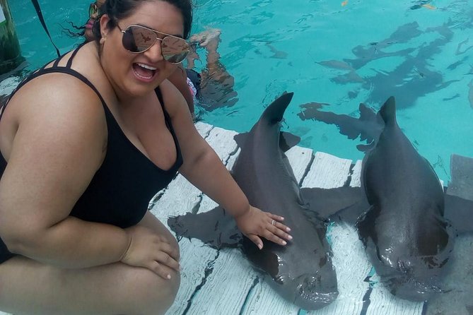 Exuma Day Away - Original Swimming Pigs Excursion - The original swimming pigs at Big Majors Cay