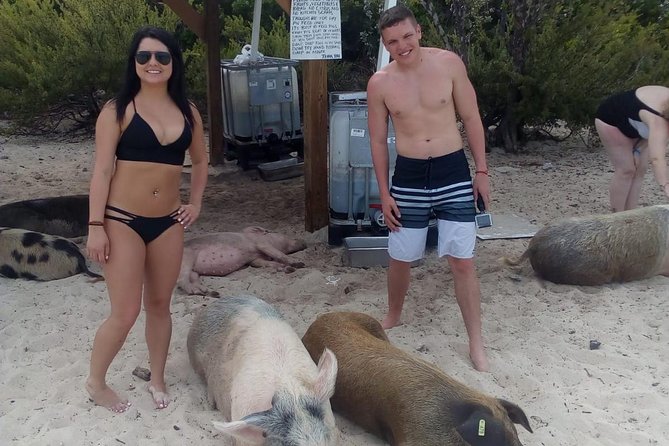 Exuma Day Away - Original Swimming Pigs Excursion - Sandbars and the Exuma Cays Land and Sea Park