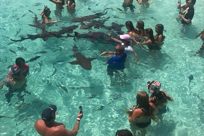 Exuma Day Away - Original Swimming Pigs Excursion - Seeing the Pablo Escobar plane near Norman’s Cay
