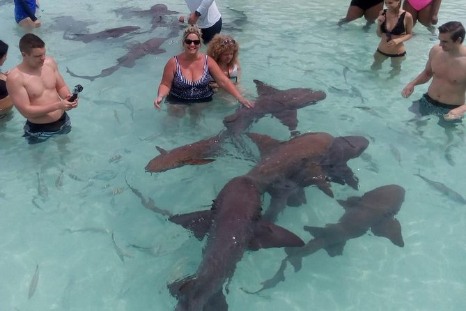 Exuma Day Away - Original Swimming Pigs Excursion - What the boat ride is really like