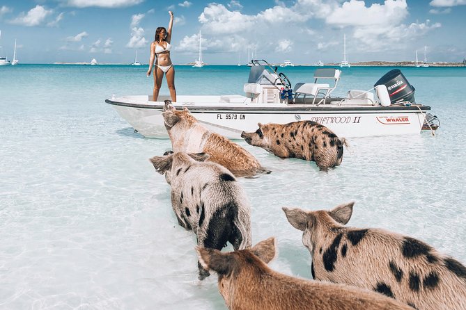 Exuma Elite Escape: Luxury Fly-In Pig Beach Adventure - 7 Stops - Seven useful details before you book
