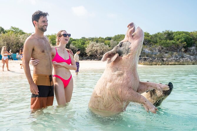 Exuma Elite Escape: Luxury Fly-In Pig Beach Adventure - 7 Stops - Pig Beach: charming, crowded, and worth understanding