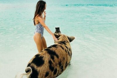 Exuma Elite Escape: Luxury Fly-In Pig Beach Adventure – 7 Stops