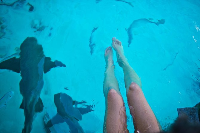 Exuma Elite Escape: Luxury Fly-In Pig Beach Adventure - 7 Stops - Staniel Cay lunch and the pace of the afternoon