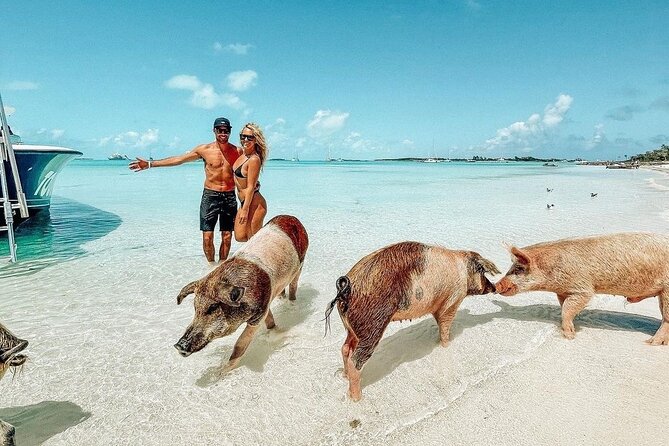 Exuma Full Day Swimming Pigs Group Boat Tour - Key things to know before booking