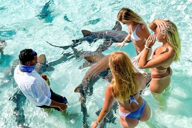 Exuma Full Day Swimming Pigs Group Boat Tour - Why this Exuma day trip packs in so much