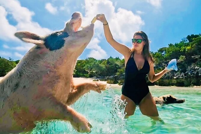 Exuma Island and Cays Tour - Why this Exuma boat trip covers so much ground