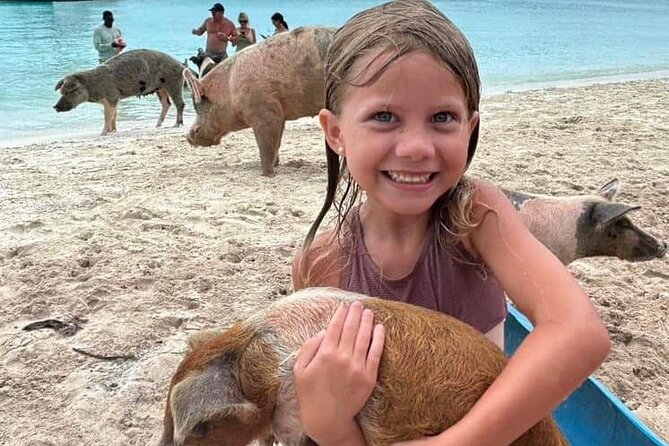 Exuma Island and Cays Tour - Big Major Cay and the swimming pigs