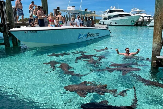 Exuma Island Hopping Swimming Pigs Tour with Lunch from Nassau - The day in a nutshell