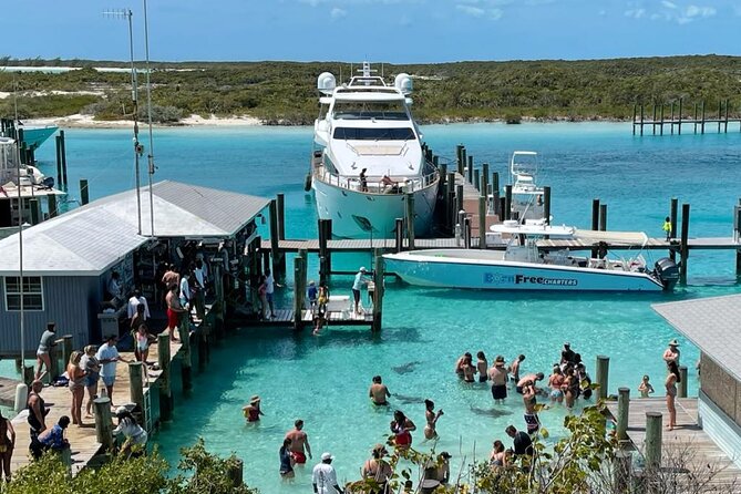 Exuma Island Hopping Swimming Pigs Tour with Lunch from Nassau - Norman’s Cay and the plane wreck
