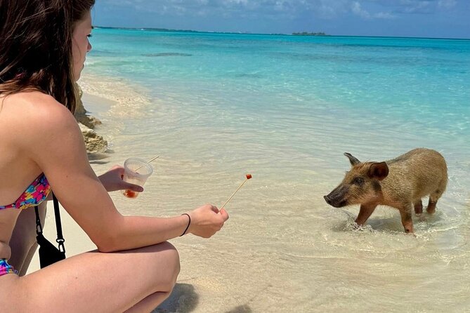 Fast Track Swimming Pigs Encounter - Atlantis and Ocean Club Estates on the cruise-port route
