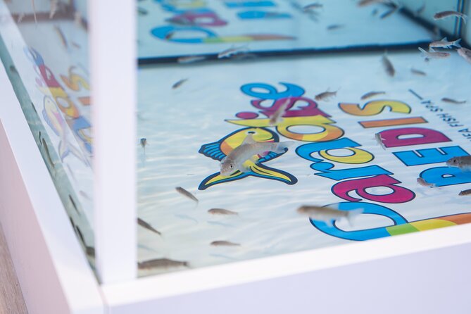Fish, Fun & Feet – Caribbean’s Largest Fish Spa Experience! - Timing, Capacity, and Booking Advice