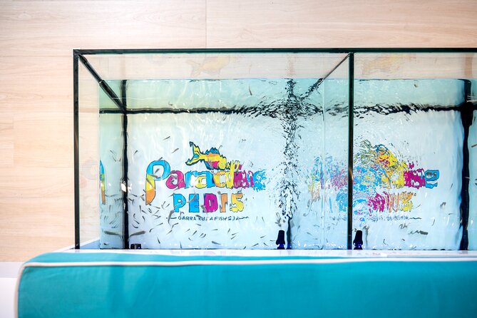 Fish, Fun & Feet – Caribbean’s Largest Fish Spa Experience! - What to Know Before You Put Your Feet In