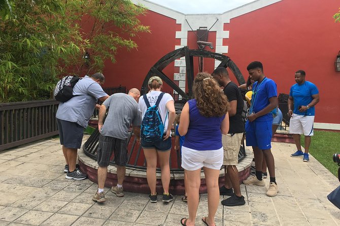 Flavors of Nassau Food Tour - Comfort, timing, and the cruise-port schedule