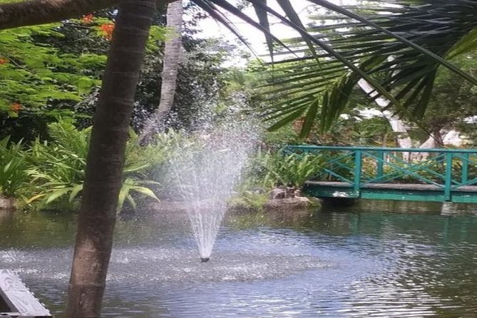 Freeport Shore Excursion: Garden of the Groves and City Tour - The route through Freeport and Grand Bahama