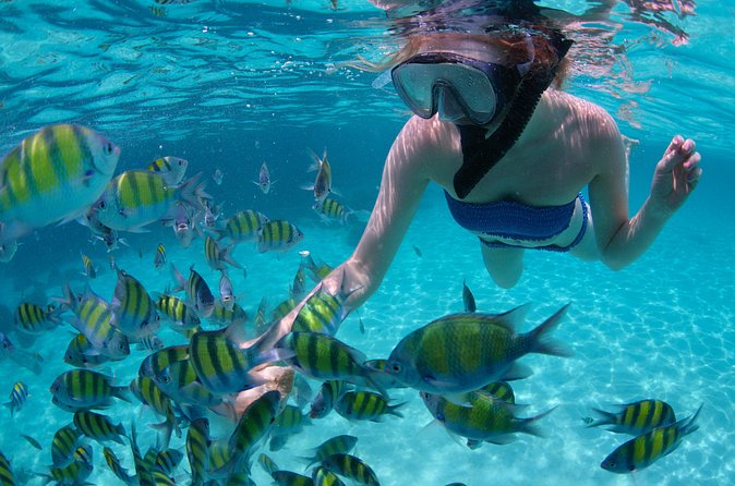 Freeport Snorkeling Peterson Cay National Park and Hotel Day Pass - What you can see around the protected island