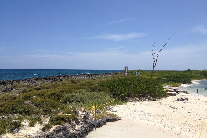 Freeport Snorkeling Peterson Cay National Park and Hotel Day Pass - The Viva Wyndham day pass changes the value calculation