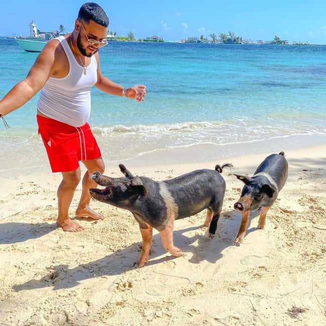From Nassau: Swim with Pigs Safari - The Atlantis Tunnel adds more than a photo stop