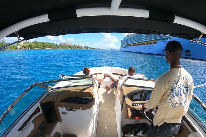 Full-Day Luxury Private Rose Island Pigs and Turtles Excursion - Why this private Nassau boat trip works
