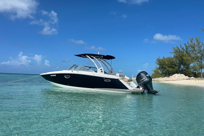 Full-Day Luxury Private Rose Island Pigs and Turtles Excursion - Green Cay and the sea turtle search