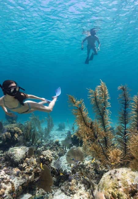 Full Day Sail and Snorkel with Turtles - Key points to know before booking