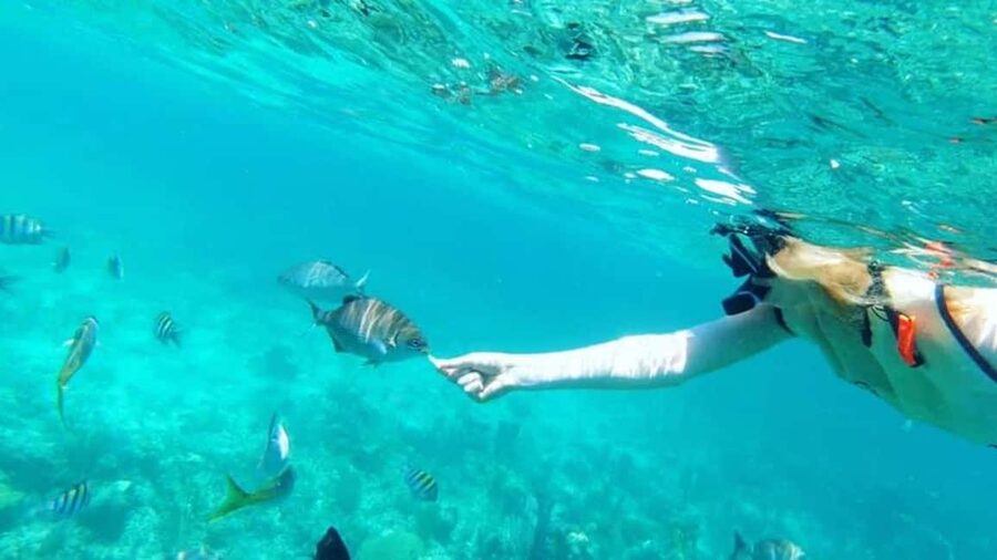 Full Day Sail and Snorkel with Turtles - Sailing out through Nassau Harbor